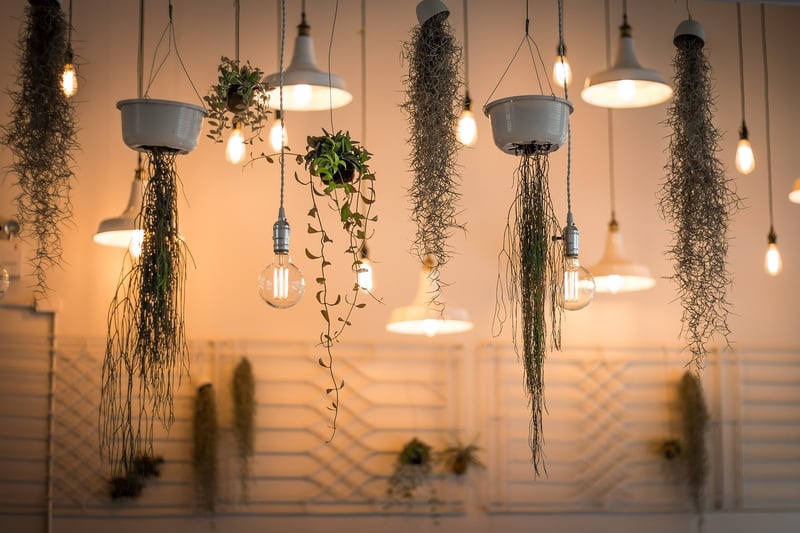 Hanging Planters