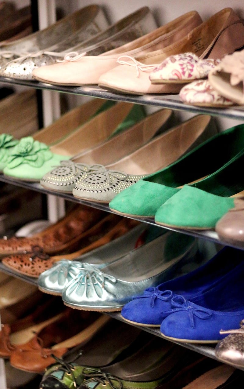 Shoe Organizer Plant Holder